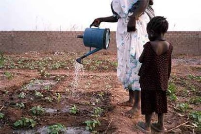 Una mujer riega un huerto en la comunidad de Sare Coly Salle, en Senegal.