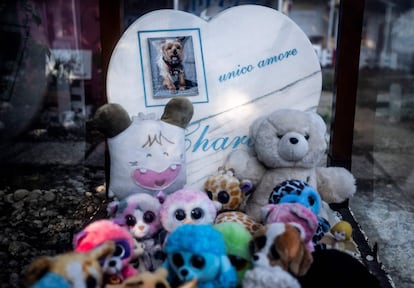 Peluches junto a la tumba de un perro en el cementerio de animales Casa Rosa, en Roma.