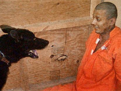Un prisionero iraquí es acosado por un perro adiestrado por soldados estadounidenses.
