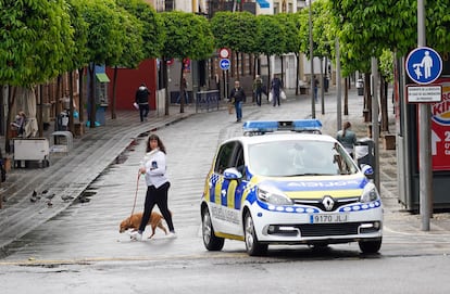 Una señora pasea a su mascota en la calle San Jacinto de Triana, en Sevilla.