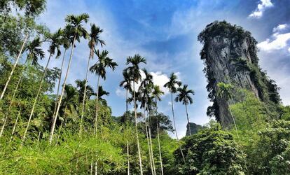 Pináculos calizos en el parque nacional Khao Sok