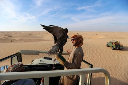 An Emirati man holds a hunting falcon at the al-Marzoon Hunting reserve, 60 Kilometres south of Madinat Zayed,in the United Arab Emirates  on February 1, 2016. / AFP / KARIM SAHIB