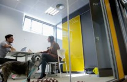 Sala Pet, para trabajar con mascotas, en las nuevas oficinas de Cabify.