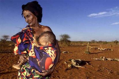 Una etíope y su nieto de cinco años, víctimas de la hambruna provocada por la sequía de 2000.