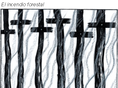 El incendio forestal