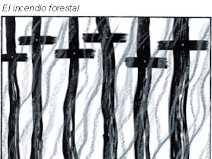 El incendio forestal
