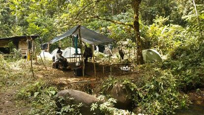 Campamento de la última expedición española en Guinea Ecuatorial en busca de fósiles del ancestro común entre chimpancés y humanos.