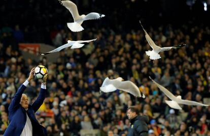 El entrenador brasileño Tite coge un balón mientras las gaviotas vuelan por el estadio, en el partido amistoso que enfrentó a las selecciones de Australia y Brasil, en Melbourne.