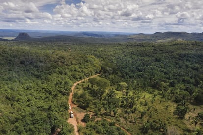 Cuando llegaron al santuario en Mato Grosso, lo primero que hizo <i>Mara</i> al descender del camión fue revolcarse por el suelo para limpiarse. Probó el mango, que no le gustó, y la guayaba, que sí le gustó. Durmió un poco, se rascó contra un árbol y comió hierba del suelo por primera vez en su vida.