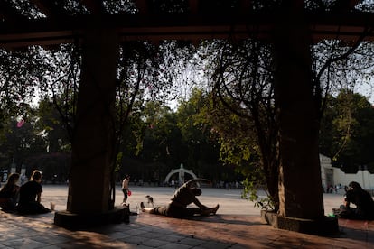 Parque España en la colonia Condesa en Ciudad de México