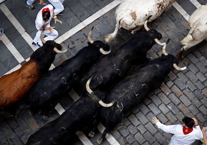 Los toros de la ganadería de Fuente Ymbro son los protagonistas del cuarto encierro de San Fermín por las calles de Pamplona.