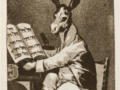 Un dels 'Caprichos' de Goya (El asno ilustrado o apología del asno), en què apareix un burro suposadament savi.