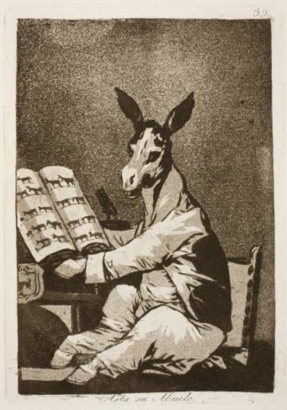 Un dels 'Caprichos' de Goya (El asno ilustrado o apología del asno), en què apareix un burro suposadament savi.