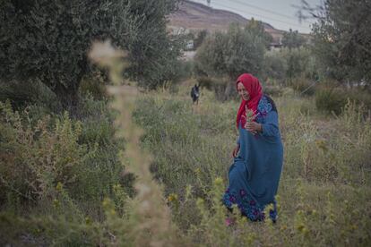 Faouzia se levanta a las cuatro de la mañana todos los días para pastorear sus ovejas. El 13 de agosto, el presidente de Túnez, Kais Saied, visitó Jendouba. Allí se reunió con trabajadoras agrícolas como Faouzia. La visita se produjo con motivo del Día Nacional de la Mujer, sin embargo permanece la desconfianza hacia la clase política