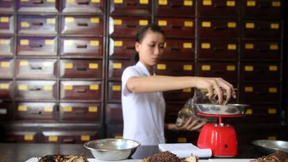 Una mujer prepara remedios tradicionales chinos en Ho Chi Minh, en Vietnam.