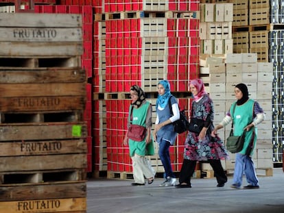 Cuatro mujeres acuden con velo al trabajo en Aitona (Lleida).