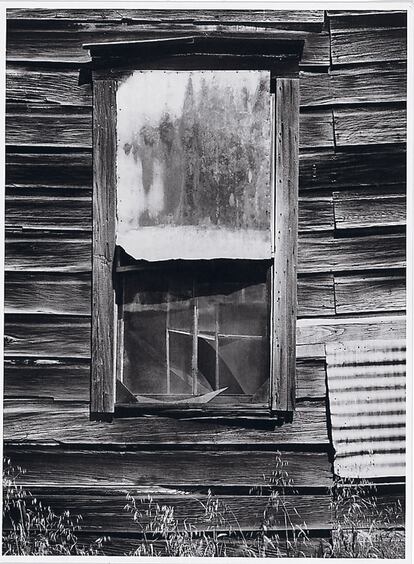 Ansel Adams, Window, 1973. Bear Valley (California). Polaroid tipo 55, impresión en gelatinobromuro de plata. Adams fue uno de los artistas que colaboraron habitual e intensivamente desde el principio con Edwin Land, el inventor de la Polaroid.