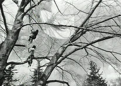 Un fotograma de uno de los vídeos de Gordon Matta-Clark. 'Tree Dance' (Danza del árbol). 1971.