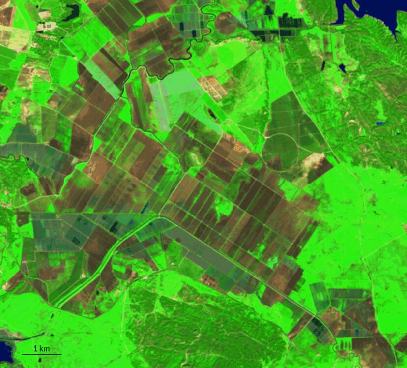 Subidón Doñana: El subidón de los humedales: así se ve desde el espacio el ...