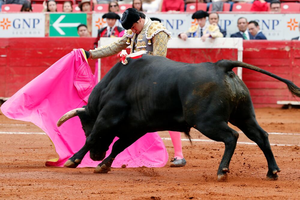 Sin sangre ni crueldad: la propuesta de Clara Brugada para las corridas ...