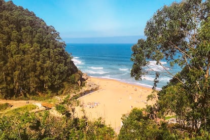 La desembocadura del arroyo genera una masa arbolada que decora la playa de la Ñora, a la que otorga personalidad un islote de baja cota. A poniente, ya en el concejo de Gijón, la escalinata de la senda costera nos eleva al mirador playero. Y si de 'sidraturismo' se trata, podremos practicarlo en Castañón (sidracastanon.es).