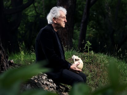 Juan Luis Arsuaga, paleontólogo