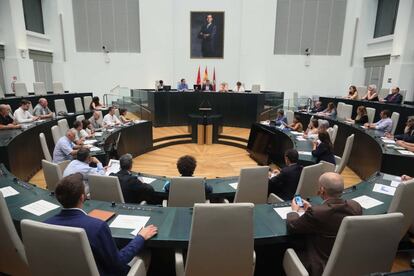 Pleno del Ayuntamiento de Madrid con ciudadanos y asociaciones interesadas en la movilidad urbana, este lunes.