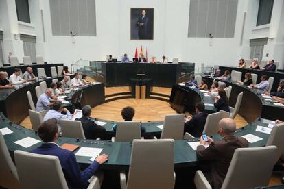 Pleno del Ayuntamiento de Madrid con ciudadanos y asociaciones interesadas en la movilidad urbana, este lunes. 