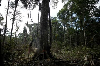 Según informes de la ONU, la acción climática requiere importantes inversiones financieras por parte de gobiernos y empresas. Sin embargo, estas serían solo una fracción del coste que tendría la inacción climática.