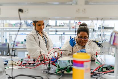 Las empleadas de Envisagenics trabajan en los laboratorios de la empresa en la ciudad de Nueva York el jueves 18 de julio de 2024.