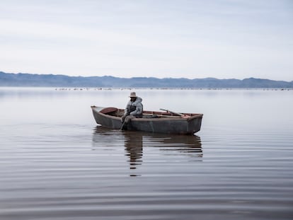 Escasez de agua en América latina