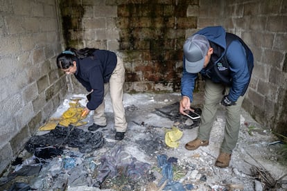 Elementos de la Fiscalía y la Comisión de Búsqueda revisan rendas encontradas en una cabaña dentro de la zona búsqueda.