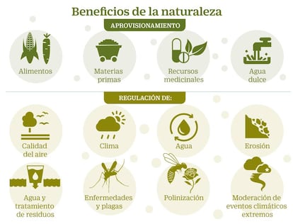 Beneficios de la Naturaleza