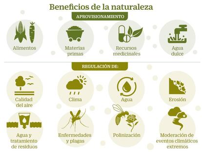 Los cambios geológicos avisan del gran deterioro de la biodiversidad