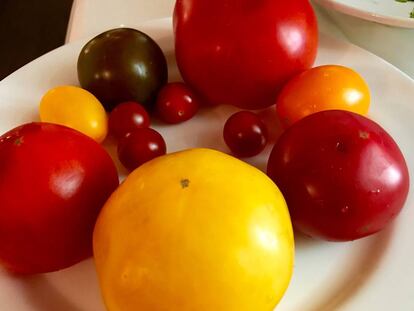 TOMATES DE AZERBAIYÁN / CAPEL