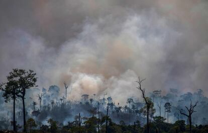 Incêndio florestal em Altamira, Pará, em 27 de agosto.