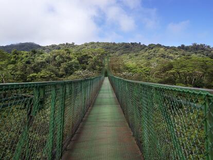 Puente Colgante de Selvatura en el bosque de Monteverde.