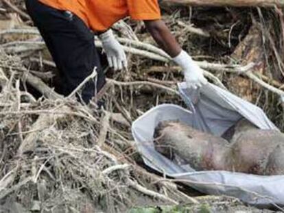 Miembros de la Defensa Civil cubren el cadaver de una mujer en en la localidad dominicana de Villa Altagracia