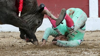 Un momento de la grave cogida que sufrió el banderillero José Mora, el pasado domingo en la plaza francesa de Céret.