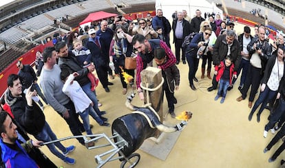 Un adulto y un menor juegan con una maqueta de toro 'embolado' en el primer Congreso de Tauromaquia en Valencia.