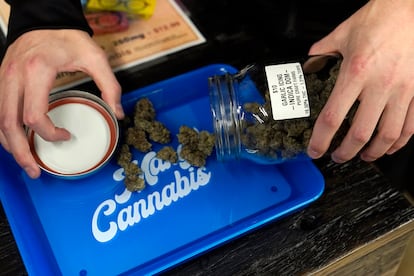 Store manager of a Mango Cannabis medical marijuana dispensary pours marijuana flowers onto a try on, on March 6, 2023, in Oklahoma City.