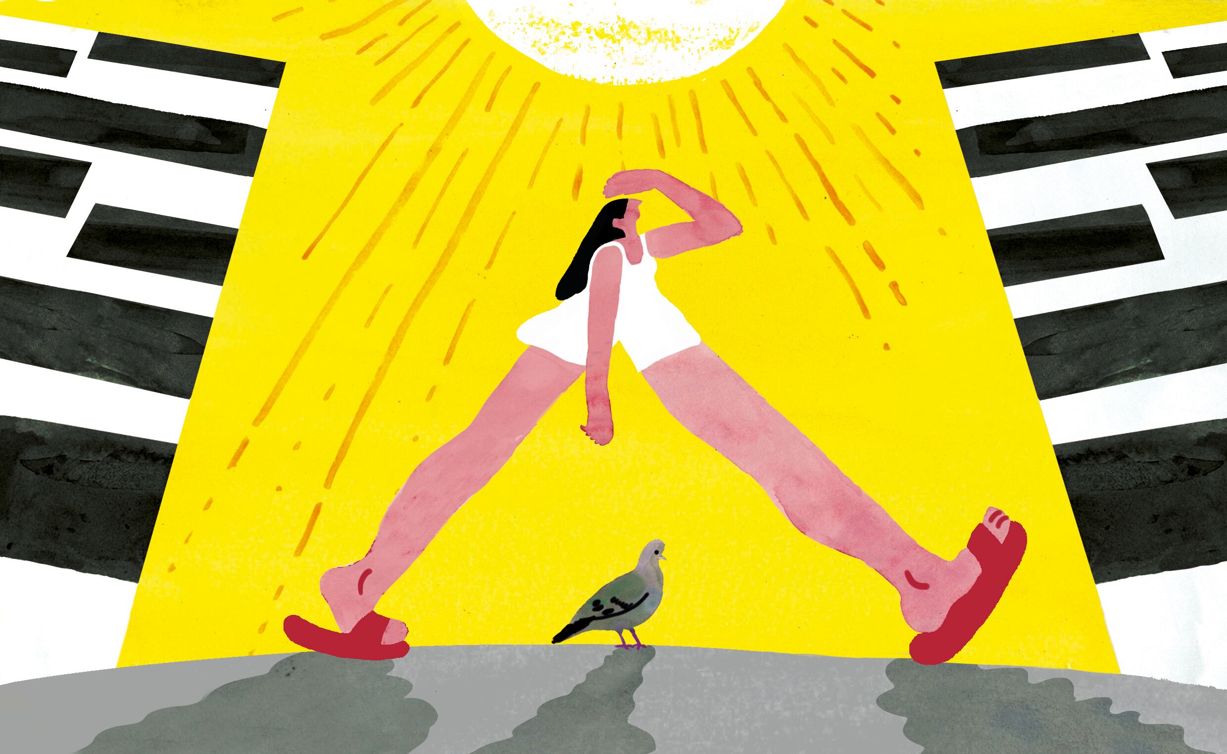 Vivir el verano como las palomas: sin pedir permiso y sin pagar