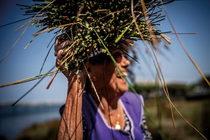 La artesana Mena do Rio transporta una brazada de juncos recién cortados en la marisma del río Cávado, en Esposende. Mena, nacida en 1944, trabaja el junco desde los siete años.