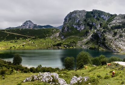 Una panorámica del espacio, situado entre las provincias de Cantabria, Asturias y León.