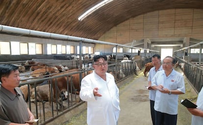 Kim Jong-Un en una granja de Pyongan (Corea del Norte).