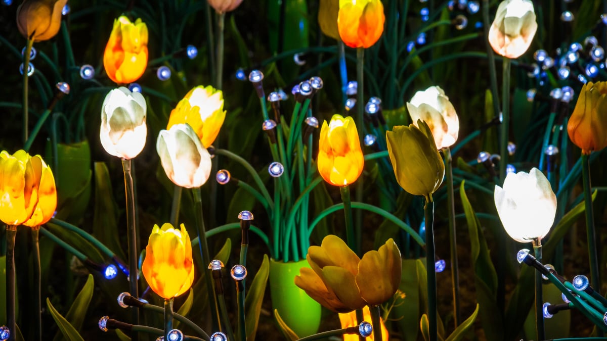 Flores que decoran de día e iluminan de noche: las lámparas solares con LED perfectas para decorar el jardín en agosto