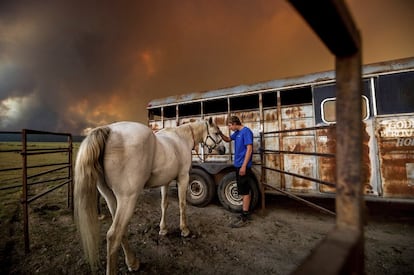 Un hombre acaricia a un caballo, tras su evacuación, cerca de Chester (California).