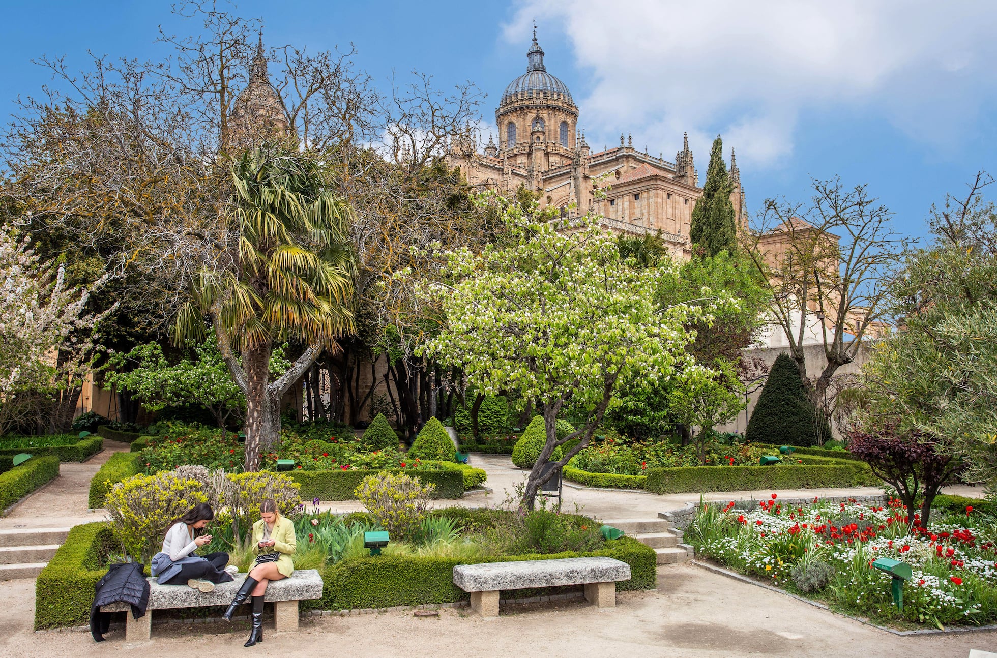 Una Gu a De Los B sicos De Salamanca Historia Monumentos Y Tapas una-gu-a-de-los-b-sicos-de-salamanca-historia-monumentos-y-tapas