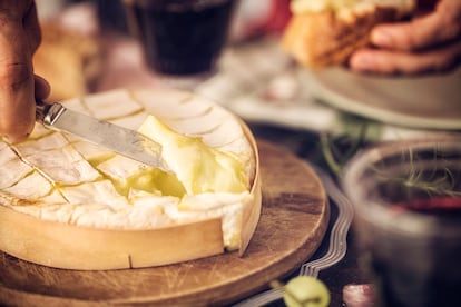 Queso camembert