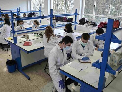 Alumnos del grado en Biotecnología de la Universidad Pública de Navarra, este marzo.